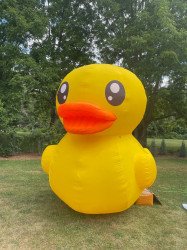 Big Rubber Duck