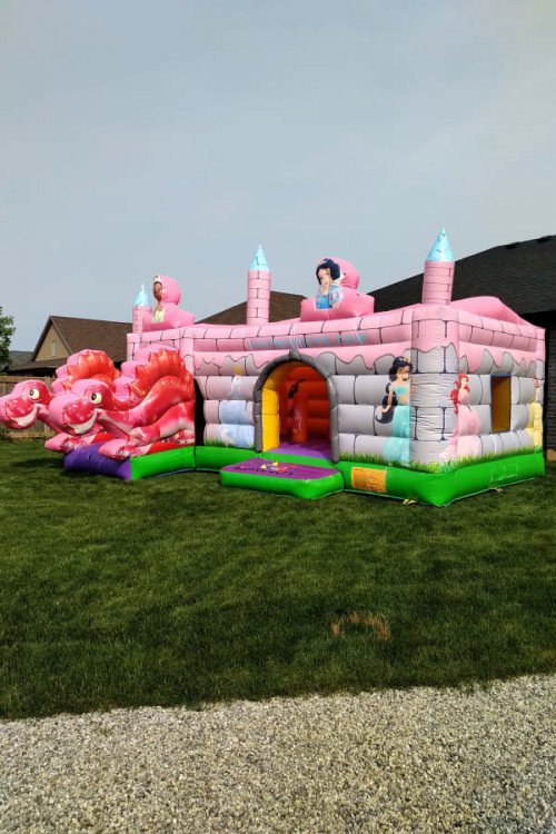 Dino/Princess Castle Combo*