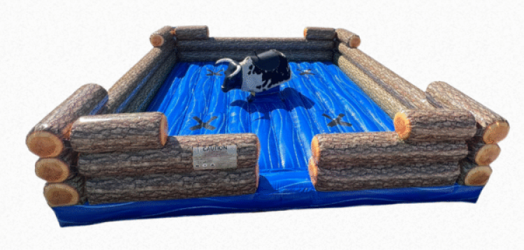 Mechanical Bull